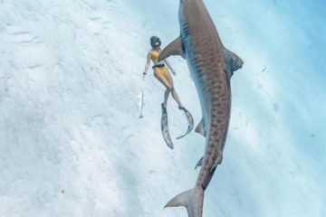 Freedive on Submerged Nation