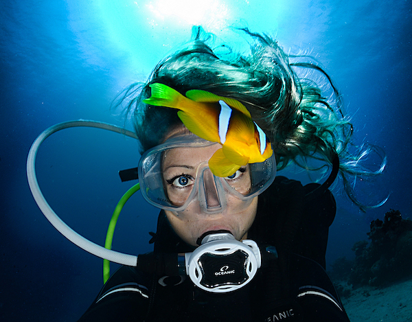 Diver-Close