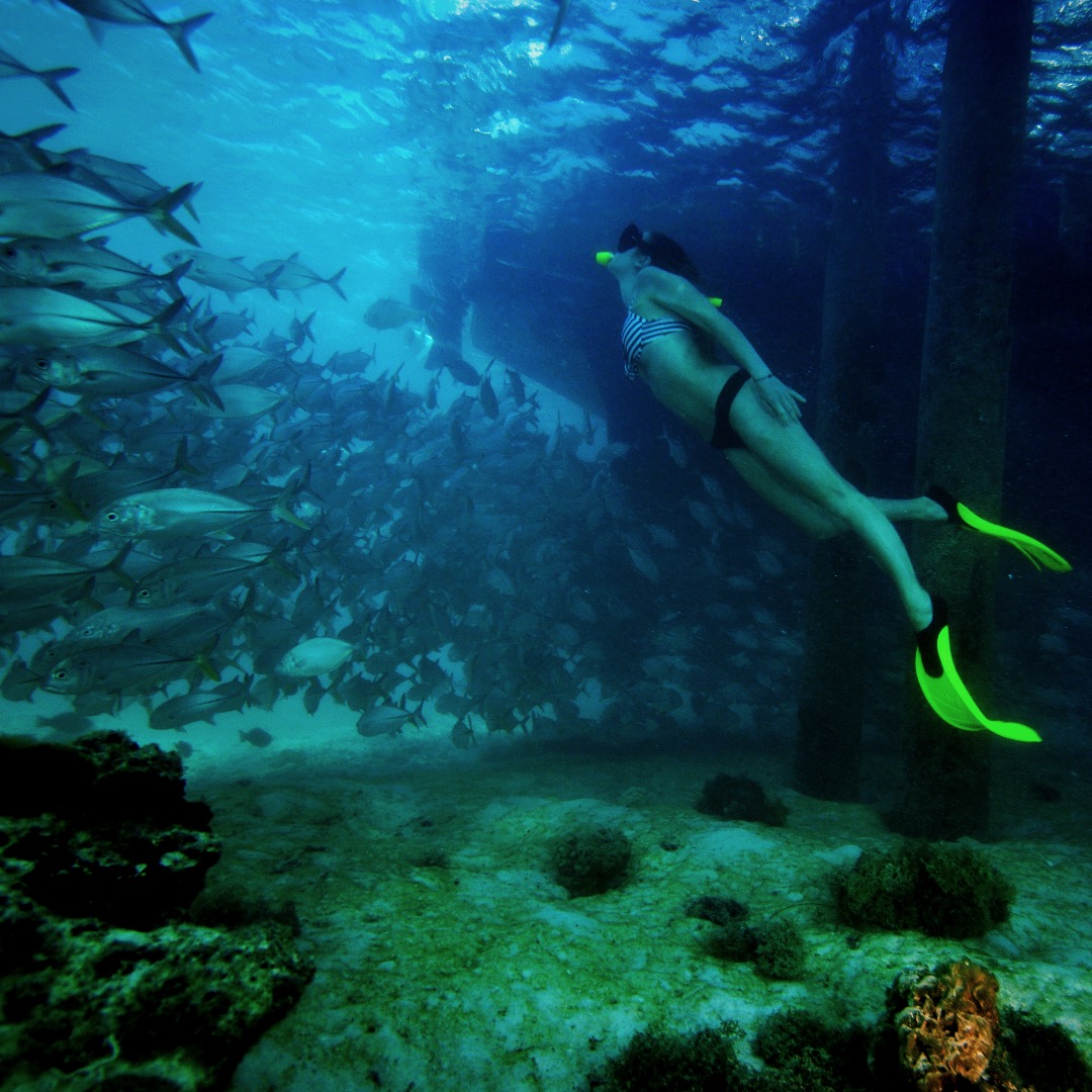 Heron Island with Submerged Nation